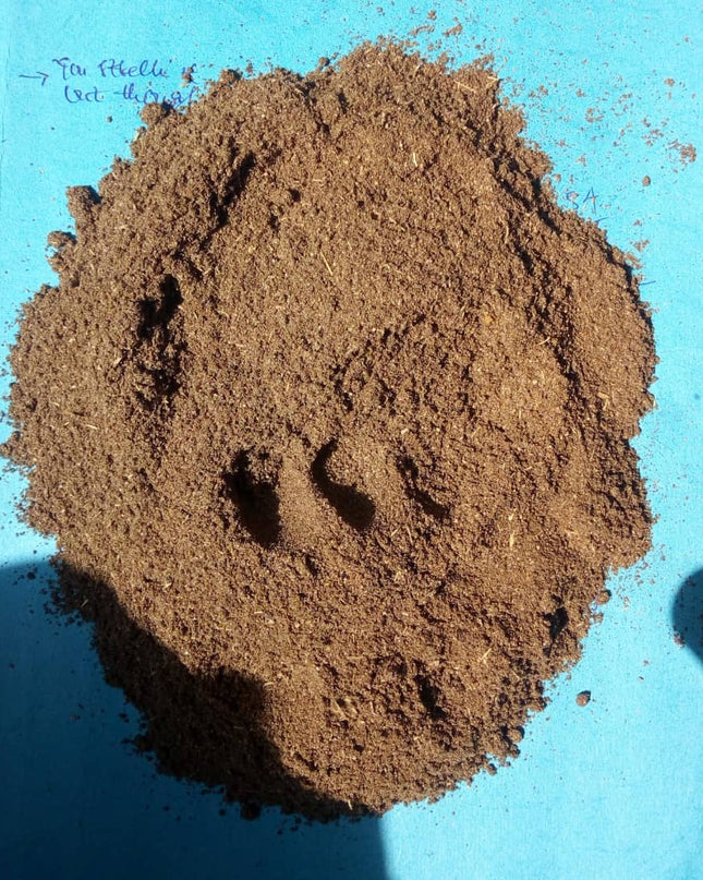 Chébé Powder